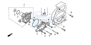 XL600V TRANSALP drawing WATER PUMP