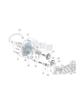 SCARABEO 50 2T CARBURATORE E4 STREET (EMEA) drawing Driven pulley shaft