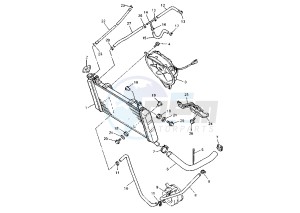 YZF R THUNDER CAT 600 drawing RADIATOR-HOSE