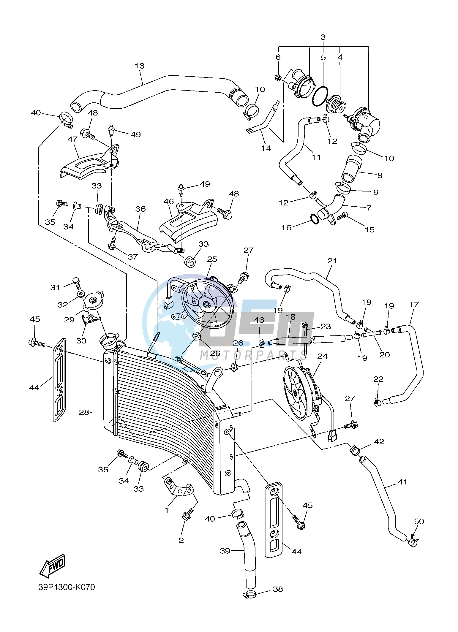 RADIATOR & HOSE