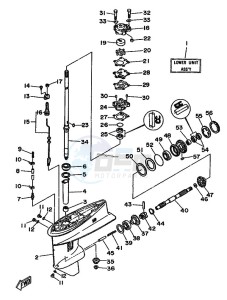 30D drawing LOWER-CASING-x-DRIVE-1