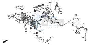 CBF600SA drawing RADIATOR (CBF600S/SA)