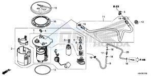 TRX500FM1F TRX500FM Europe Direct - (ED) drawing FUEL PUMP