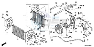 TRX500FPAD TRX500FPA ED drawing RADIATOR