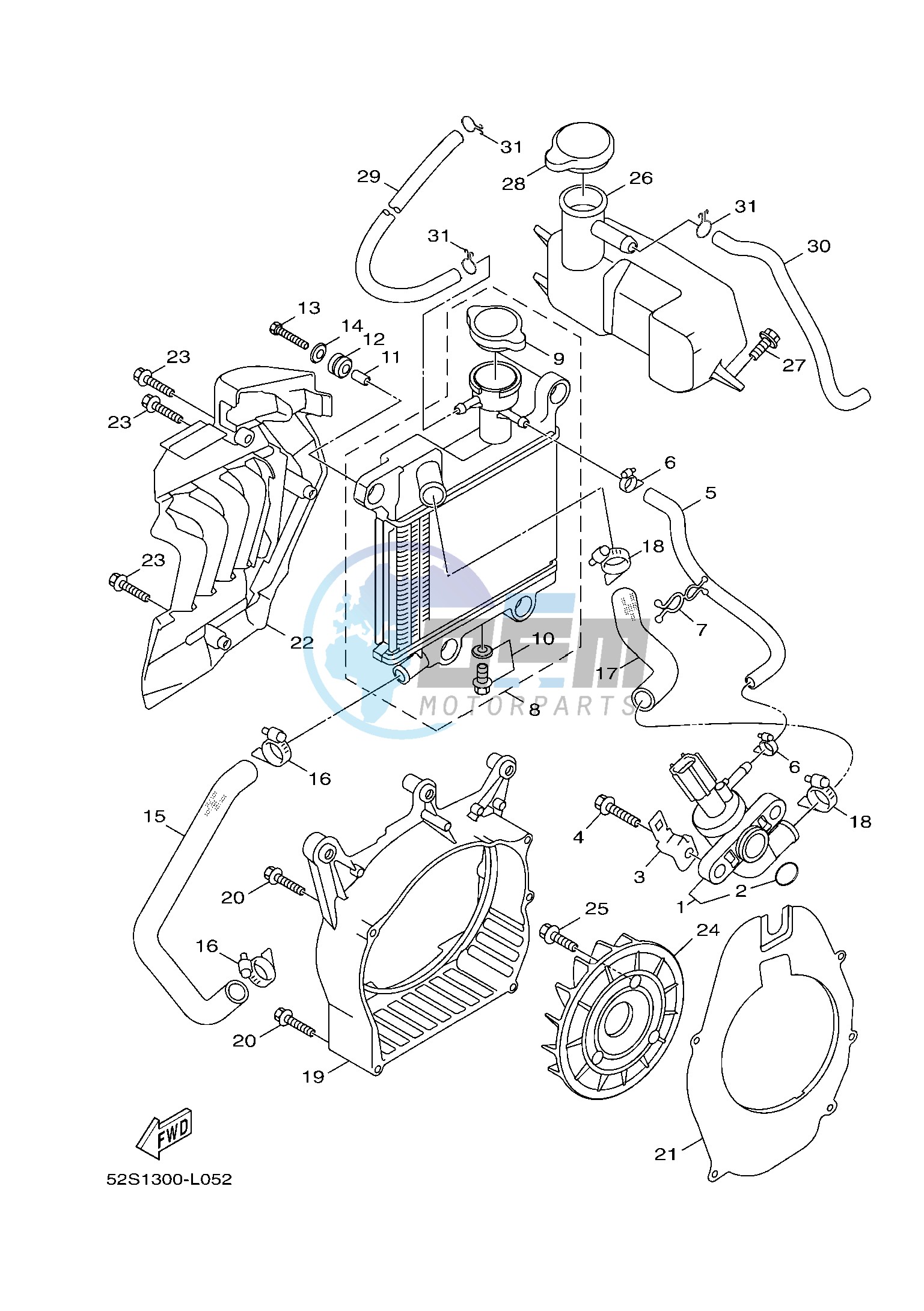 RADIATOR & HOSE