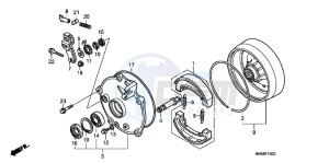 TRX250XB drawing REAR BRAKE DRUM