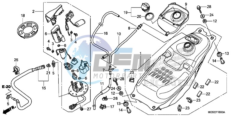 FUEL TANK/ FUEL PUMP