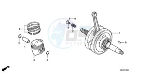 CRF80F9 Mexico - (MX) drawing CRANKSHAFT/PISTON (CRF80F)