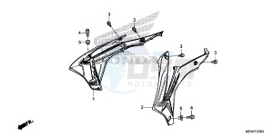 CRF450RD CRF450R Europe Direct - (ED) drawing RADIATOR SHROUD