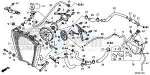 CBR1000SG CBR1000 - Fireblade SP Europe Direct - (ED) drawing RADIATOR