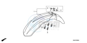 CRF150RB9 Europe Direct - (ED / T19 2ED) drawing FRONT FENDER