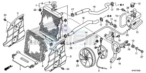 TRX420TED TRX420 Europe Direct - (ED) drawing RADIATOR