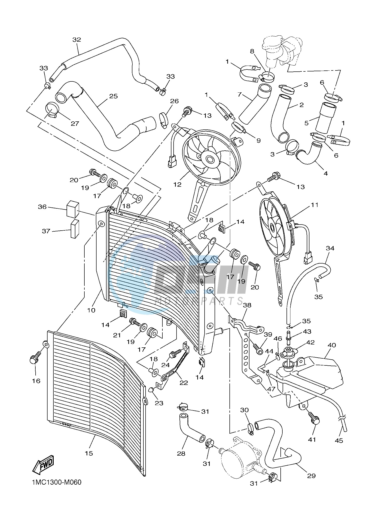 RADIATOR & HOSE