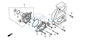 XL600V TRANSALP drawing WATER PUMP