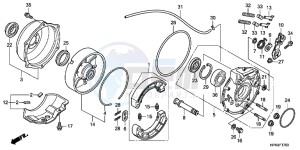 TRX420TMC drawing REAR BRAKE PANEL