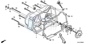 CRF50F9 Europe Direct - (ED) drawing RIGHT CRANKCASE COVER