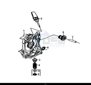 MIO 50I (25 KM/H) (FS05W1-NL) (E4) (L8-M0) drawing R. CRANK CASE COVER