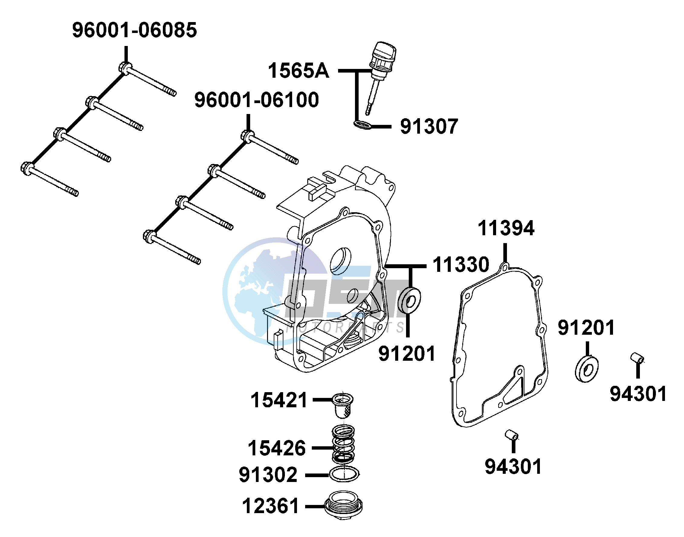 Right Crankcase Cover - Water  Pump