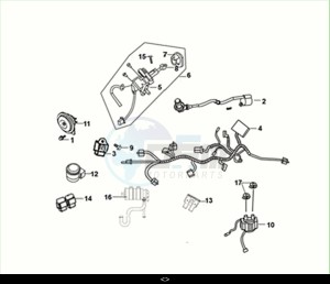 FIDDLE II 50 EFI (AF05W6-NL) (M2) drawing WIRE HARNESS