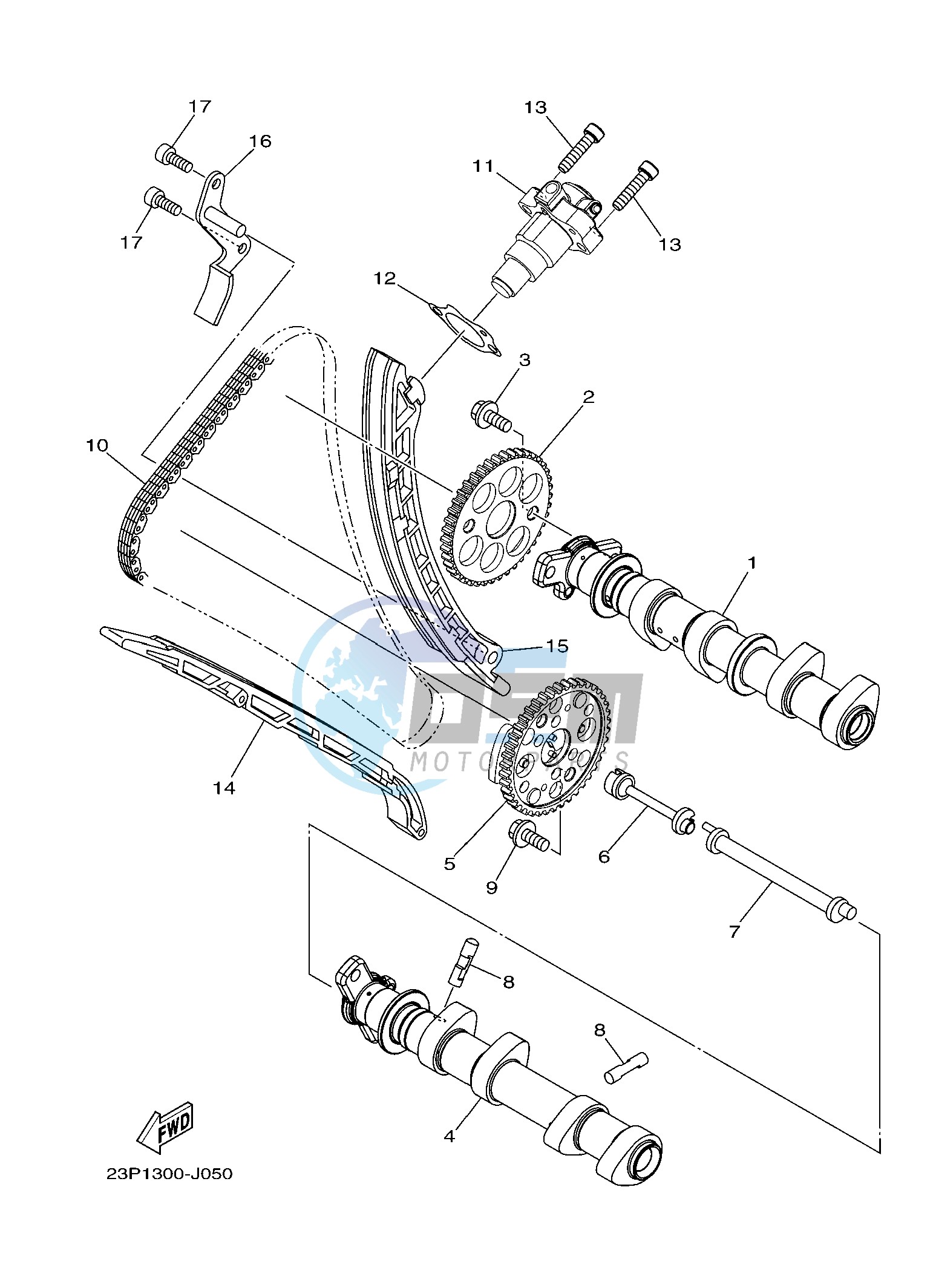 CAMSHAFT & CHAIN