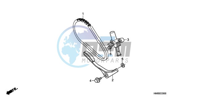 CAM CHAIN/TENSIONER