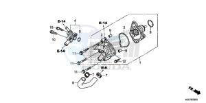 WW125EX2F PCX125 - WW125 UK - (E) drawing WATER PUMP