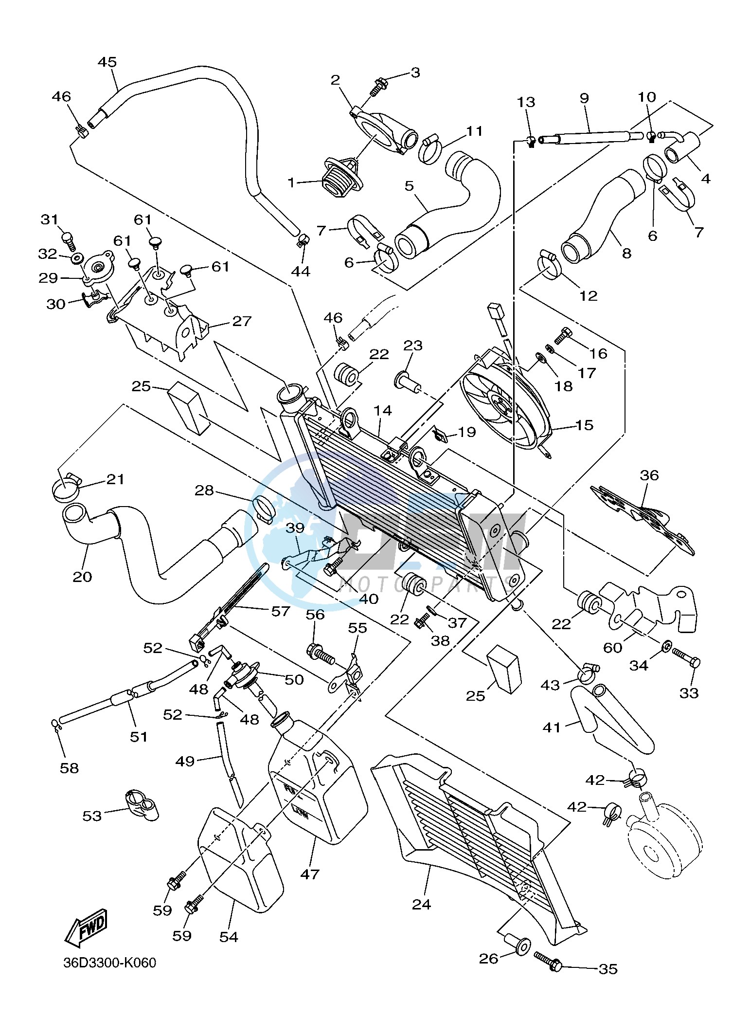 RADIATOR & HOSE