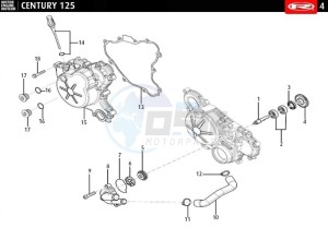 CENTURY-125-E4-GREY drawing FLYWHEEL COVER - WATER PUMP