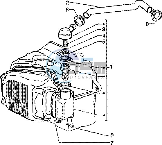 Oil drain valve