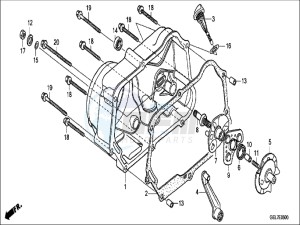 CRF50FH Europe Direct - (ED) drawing RIGHT CRANKCASE COVER