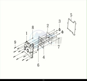 MAXSYM TL 508 (TL50W2-EU) (M2) drawing CYLINDER HEAD COVER / MAXSYM TL 508 (TL50W2-EU) (M2)