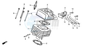 SH50D SCOOPY drawing CYLINDER/CYLINDER HEAD