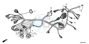 TRX250TMH Europe Direct - (ED) drawing WIRE HARNESS (TRX250TM)