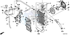 CRF250MF CRF250M UK - (E) drawing RADIATOR