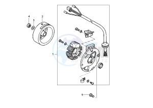 BW'S NAKED 50 drawing GENERATOR