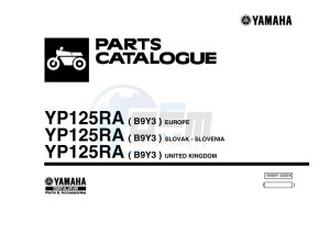 YP125RA XMAX 125 TECH MAX (B9Y3) drawing Infopage-1