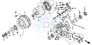 TRX200D FOURTRAX 200 drawing REAR BRAKE DRUM