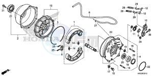 TRX420FM2E TRX420 Europe Direct - (ED) drawing REAR BRAKE PANEL