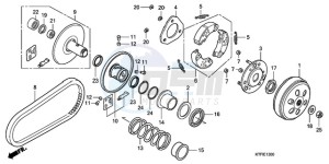 SH1259 France - (F / CMF) drawing DRIVEN FACE