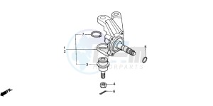 TRX350FM RANCHER 4X4S drawing KNUCKLE (1)