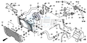 CB1300 CB1300SUPER FOUR drawing RADIATOR (CB1300A/SA)