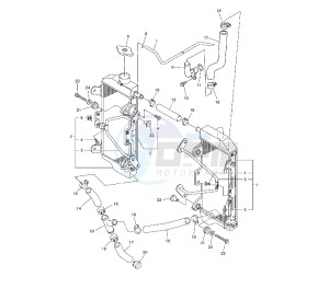 WR F 250 drawing RADIATOR AND HOSE