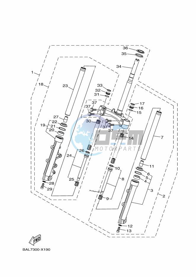 CAMSHAFT & CHAIN