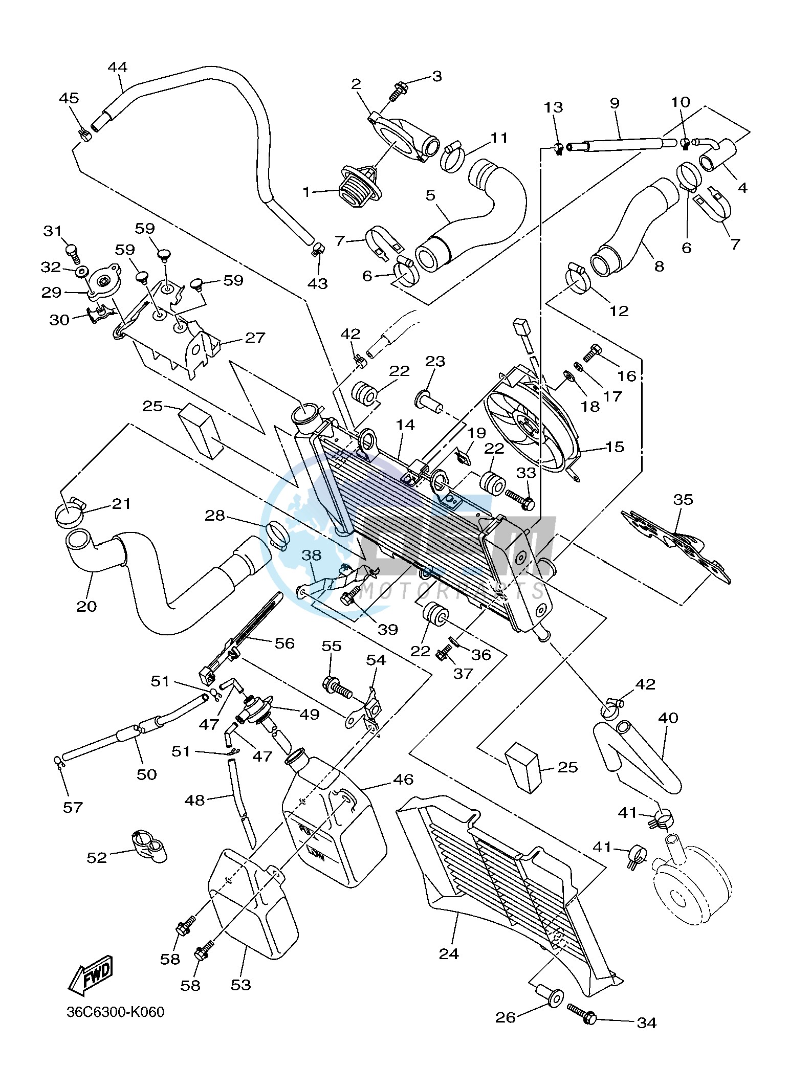 RADIATOR & HOSE