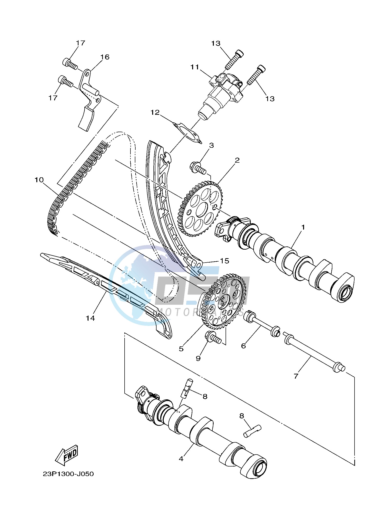 CAMSHAFT & CHAIN