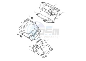 V RAPTOR 1000 drawing CYLINDER