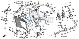 CBR600RAA Australia - (U / ABS) drawing RADIATOR