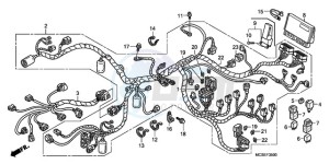 ST13009 France - (F / CMF MME) drawing WIRE HARNESS (ST1300)