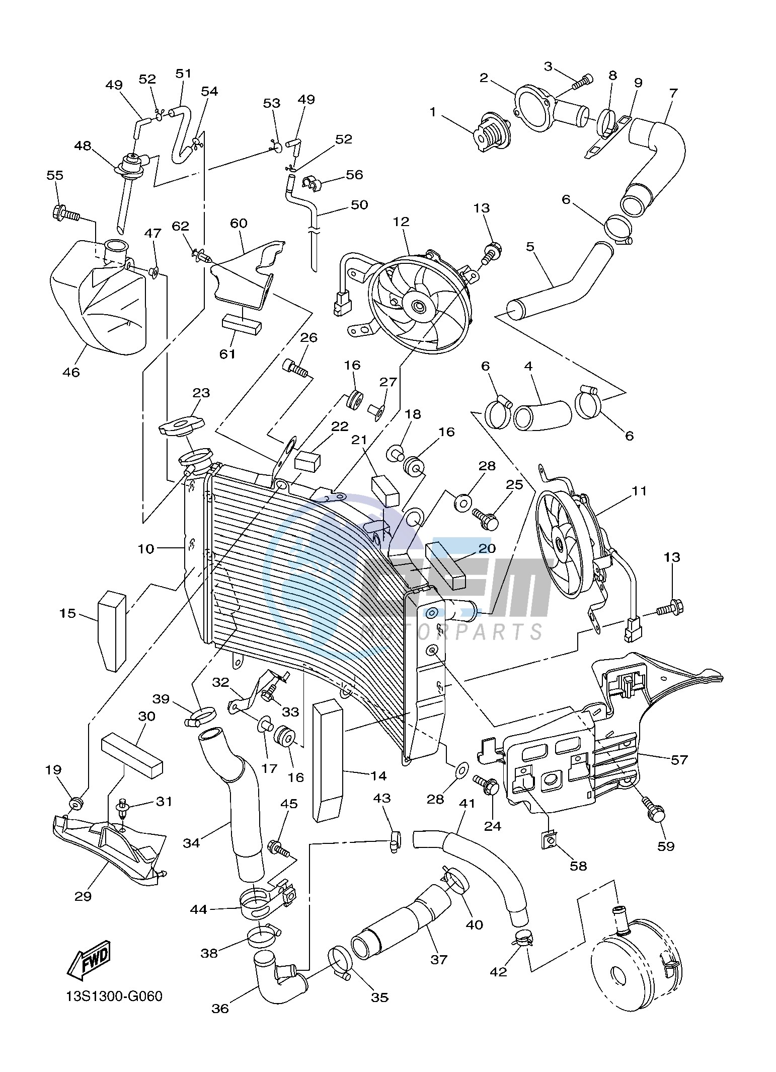 RADIATOR & HOSE