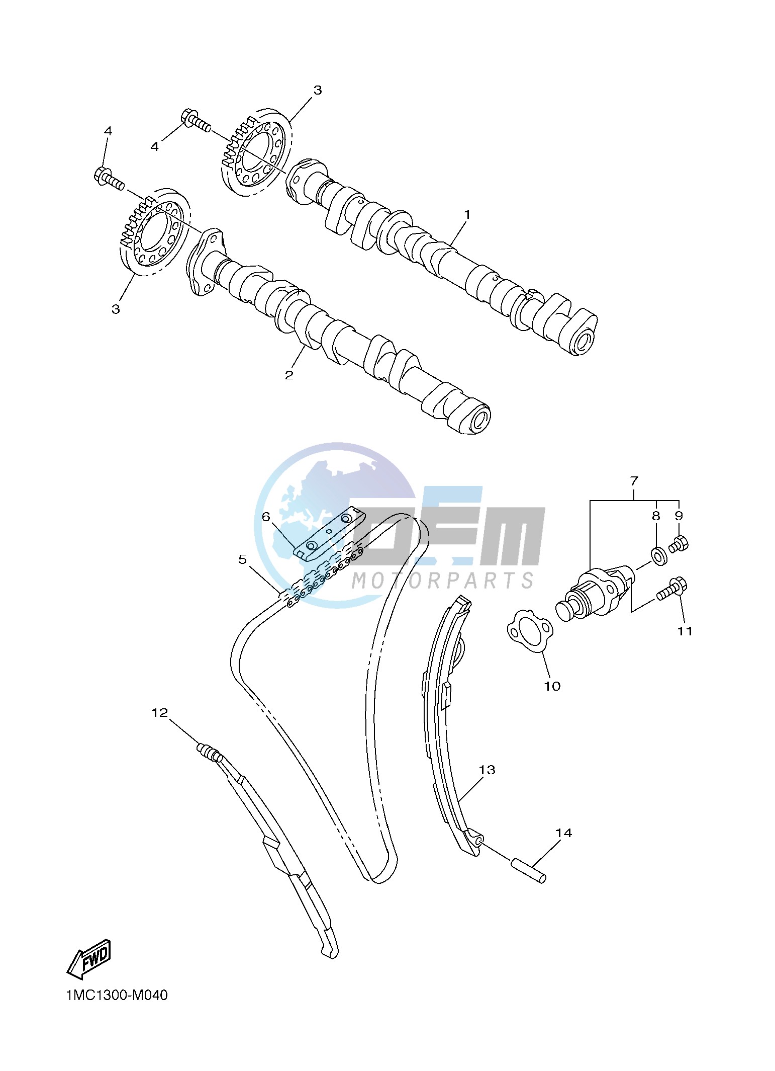 CAMSHAFT & CHAIN